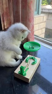 Physics Cat fun | Future Science