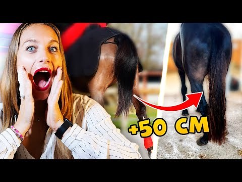 5 TIPS TO MAKE YOUR HORSE'S TAIL GROW FAST ⚡️