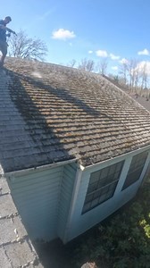 7.4K views | ✨Did You Miss Out On Our Special Offer? You're In Luck! Get $100 Off Your Roof Cleaning Service With Gehring Softwash Today. Use Code [$100-off] When You Request A Quote. Don't Let This Deal Slip Away! ✨ | Gehring Softwash | Facebook