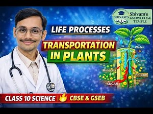 Transportation in Plants | Life Processes | Class 10 Science CBSE & GSEB