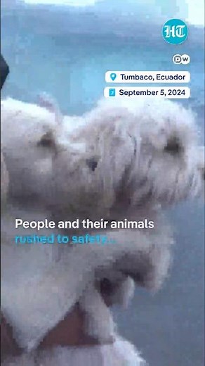 Ecuador Wildfires Rage Around Capital Quito | Watch