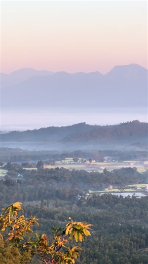 🅰️ PLEX——🔱 (@aplex52)’s videos with original sound - Adarshhh_