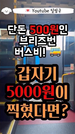 잘못 찍힌 호주 버스비 환불 받기 #호주 #호주생활 #호주워홀 #꿀팁 #호주여행 #여행꿀팁 #여행유튜브 #여행유튜버 #여행브이로그 #여행쇼츠 #쇼츠모음 #쇼츠추천 #쇼츠