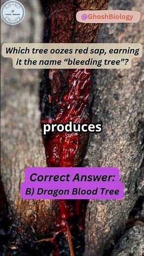 This Tree Bleeds Like a Human! 🌳🩸 | Shocking Biology Facts #ghoshbiology
