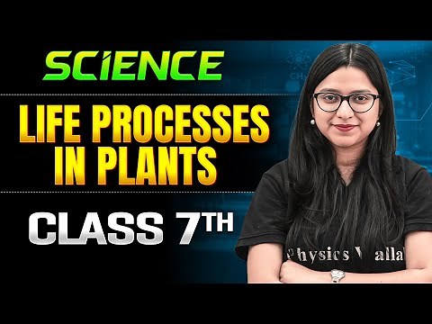 Life Processes in Plants Class 7 One Shot || Science || Ankita Ma'am