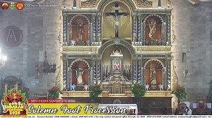 10K views · 255 reactions | LIVE  | Solemn Foot Procession January...