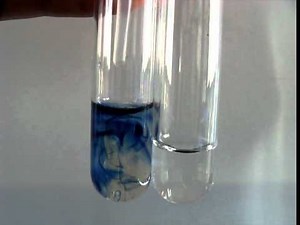 DCPIP測試維生素C.mpg