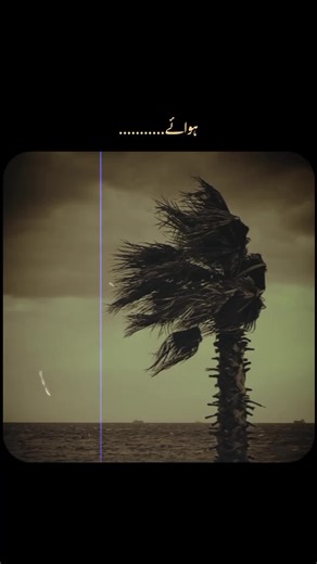 Hawaei Wagh Di Ay: A Spiritual Tribute