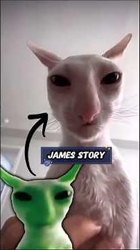 The Alien cat-James Full Story #catstory