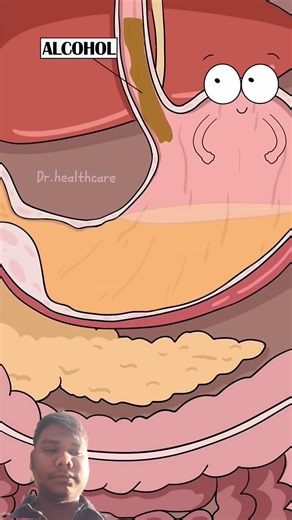 Stomatch digest oil #funny new cartoon video o #cartoon #shortsfeed #comedy