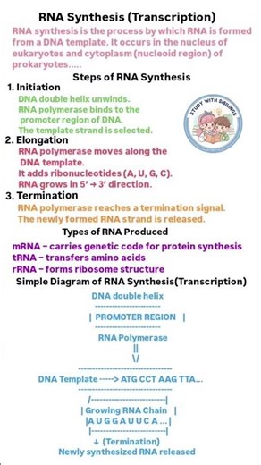 Rna synthesis #quickrevision #rapid #neet #medicos....
