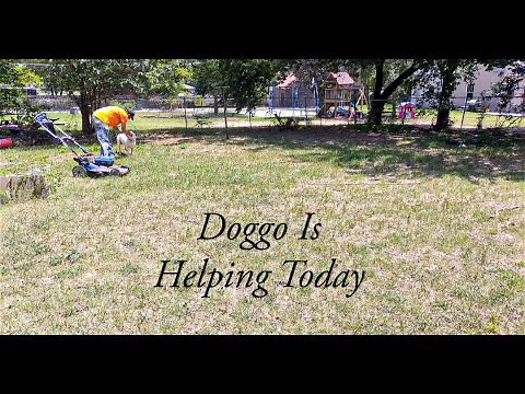 Backyard Transformation: Mowing with the Kobalt 48v Push Mower!