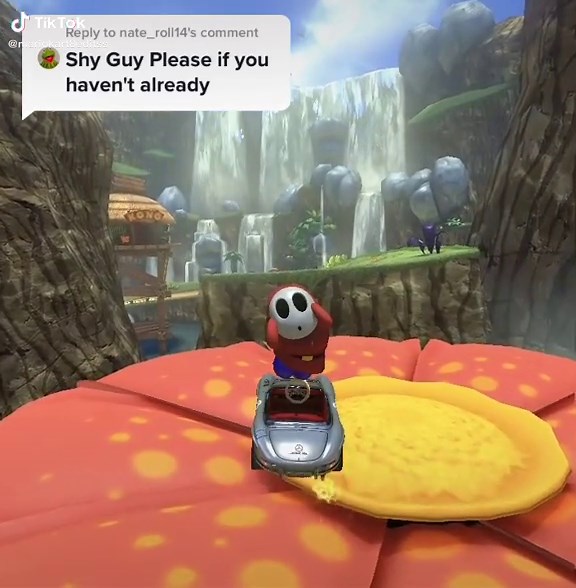 Mario Kart 8 Slowed on TikTok