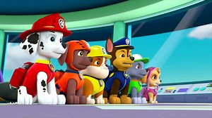 Nick Jr.: Paw Patrol Mix Ups