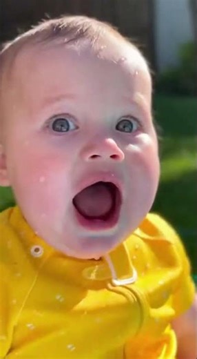 Baby accidentally summons duck army