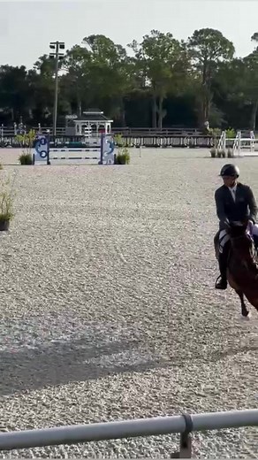 12K views · 144 reactions | ‘Did you press the speed button’ -The Ricky Baby ️ #therickybaby #horses #showjumper #showjumping #speed #supercharged #letsgo #wahoo #fun #funny #cute #gogogo #rcrequestrian | German Riding Instructor | Facebook