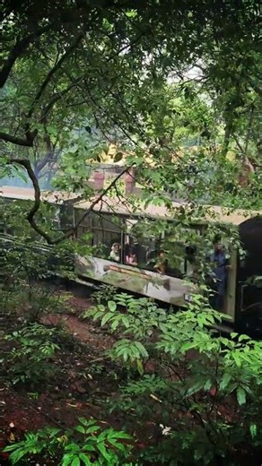 Matheran Toy Train Experience