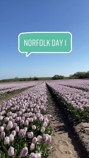 Exploring Norfolk: Day 1 Vlog at Tulip Farm and King's Lynn