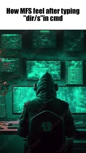 How Mfs Feel After Typing "dir /s" in CMD