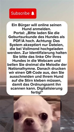 Amt verlangt PDF/A vom Hund 🐕