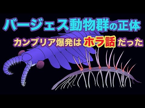 バージェス動物群の正体　カンブリア爆発はホラ話だった　地球の歴史　その９