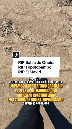 Están listos para decirle adiós al puerto de Topolobampo? Adiós a la playa del maviri? Adiós a la bahía de Ohuira? Adiós a sus seres queridos? Porque también nos va a tocar a nosotros. #activista #fypp #conservacion #pueblosindigenas #travel
