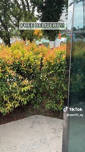 WHERE to get the best deals??? Our 5.5 Markdown Sale has started! Follow us on TikTok for fun and exclusive content!♪ https://www.tiktok.com/@ qoo10_sg #Qoo10 #onlineshopping #tiktoksg #singapore #sale | Qoo10