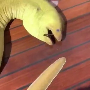 ﷽﷽﷽﷽﷽﷽﷽﷽﷽﷽﷽﷽﷽﷽﷽﷽﷽﷽﷽﷽﷽﷽﷽﷽﷽﷽﷽﷽﷽﷽﷽﷽﷽﷽﷽﷽﷽﷽﷽﷽﷽﷽﷽﷽﷽﷽﷽﷽﷽﷽﷽﷽﷽﷽﷽﷽﷽﷽﷽﷽﷽﷽﷽﷽﷽﷽﷽﷽﷽﷽﷽﷽﷽﷽﷽﷽﷽﷽﷽﷽﷽﷽﷽﷽﷽﷽﷽﷽﷽﷽﷽﷽﷽﷽﷽﷽﷽﷽﷽﷽