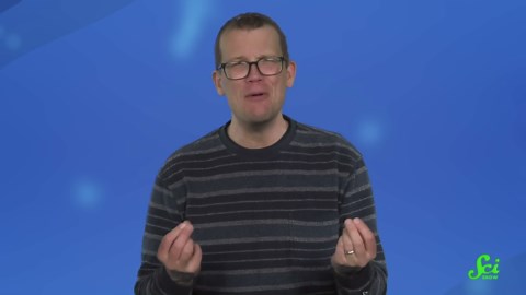 Wolves have taken over a marine ecosystem