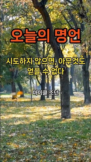 오늘의 명언, 시도하지 않으면, 아무것도 얻을 수 없다 #명언