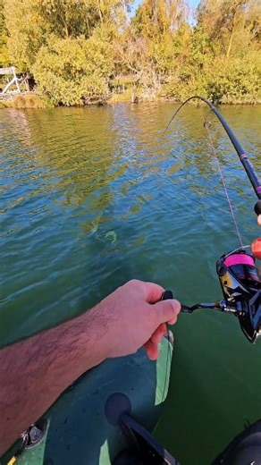 Matériel utilisé / Material used : Canne / Rod : Blank PPS 70 M-2 7/28g 2m13 à monter soi-même / DIY rod building from Rodhouse. Moulinet / Reel : Shimano Vanford FA VFC3000XGA Tresse / Braided : Jof x8 1.0 Leurre / Lure : Cuillère / spoon Caperlan n°4 🚨 -5% sur / on Rodhouse avec le code promotionnel / with the promotional code : MICKANAPECHE5 🚨 #peche #fishing #brochet #pike #collaboration | Mickanapeche