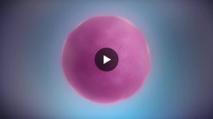 How transcription and translation work in gene expression. | TALHA Chouaib posted on the topic | LinkedIn