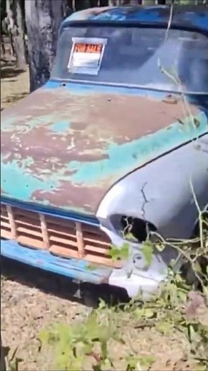 1955 CHEVROLET 3100 PICKUP!