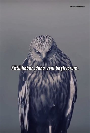 Yeni Başkıyorum #OyunYayında #GamingOnAir #uwkasap #meinlego