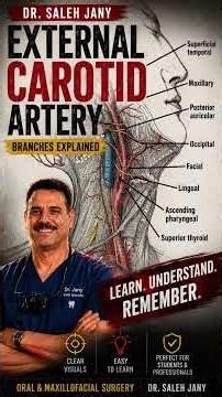 External Carotid Artery Song | Learn the 8 Branches in Minutes | Dr. Saleh Jany