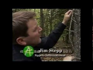Stepp Ladder Climbing Aid #2 Early Instructional Video