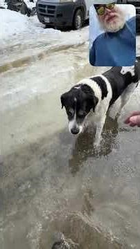 We’re Dealing With a Bad Breakup Over Here - An Alaskan Breakup. #alaska