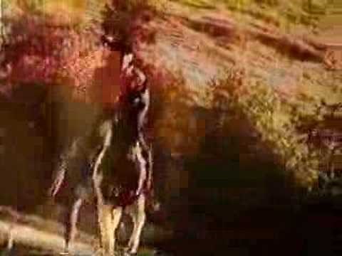Estrela de Fogo - Abertura (1998)
