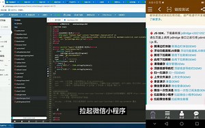 [一门app开发教程37课]app拉起微信小程序功能详解