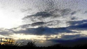 Studio Drift Flylight