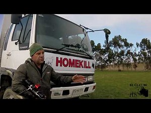 Shooting more than one cattle beast.