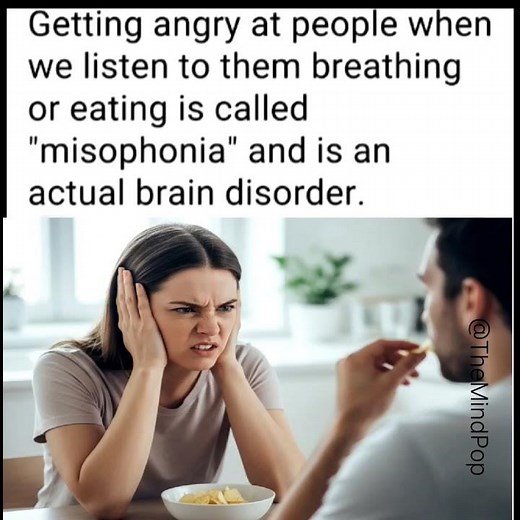 “When Everyday Sounds Feel Too Loud – Misophonia Explained”