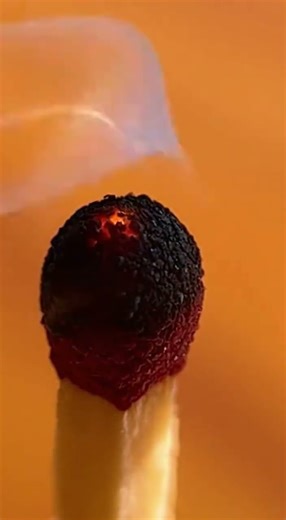 The Solar Power Hack Hiding In Your Snack Bag 🥗⚡ #funny