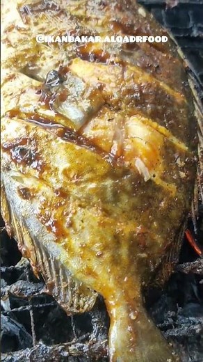 BAKAR IKAN BARONANG YANG GURIH DAN MENGANDUNG VITAMIN A #ikanbaronang #baronang #ikanbaronangbakar