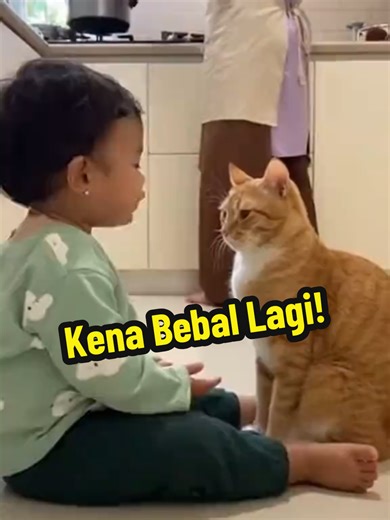 Mom's Cooking Chaos: Hilarious Kitchen Moments