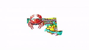 Maryland State Sticker 4 Inch - Waterproof Vinyl Decal for Laptop Water Bottle Car Tumbler - Durable Aesthetic Long-Lasting Stickers for Adults ID44990