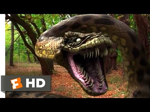Anacondas: Trail of Blood (2009) - Jeep vs. Anaconda Scene (3/10) | Movieclips