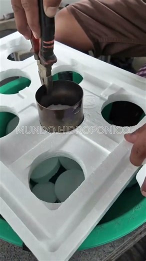 Aprende a cultivar tus alimentos 🍅🥬 en tu propia huerta hidropónica en casa #Hidroponía