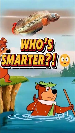 Who’s Smarter… Yogi or a Fish? 😳🐟 #shorts