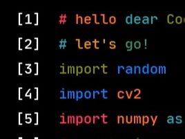 把你的代码做成视频给猫看🐱